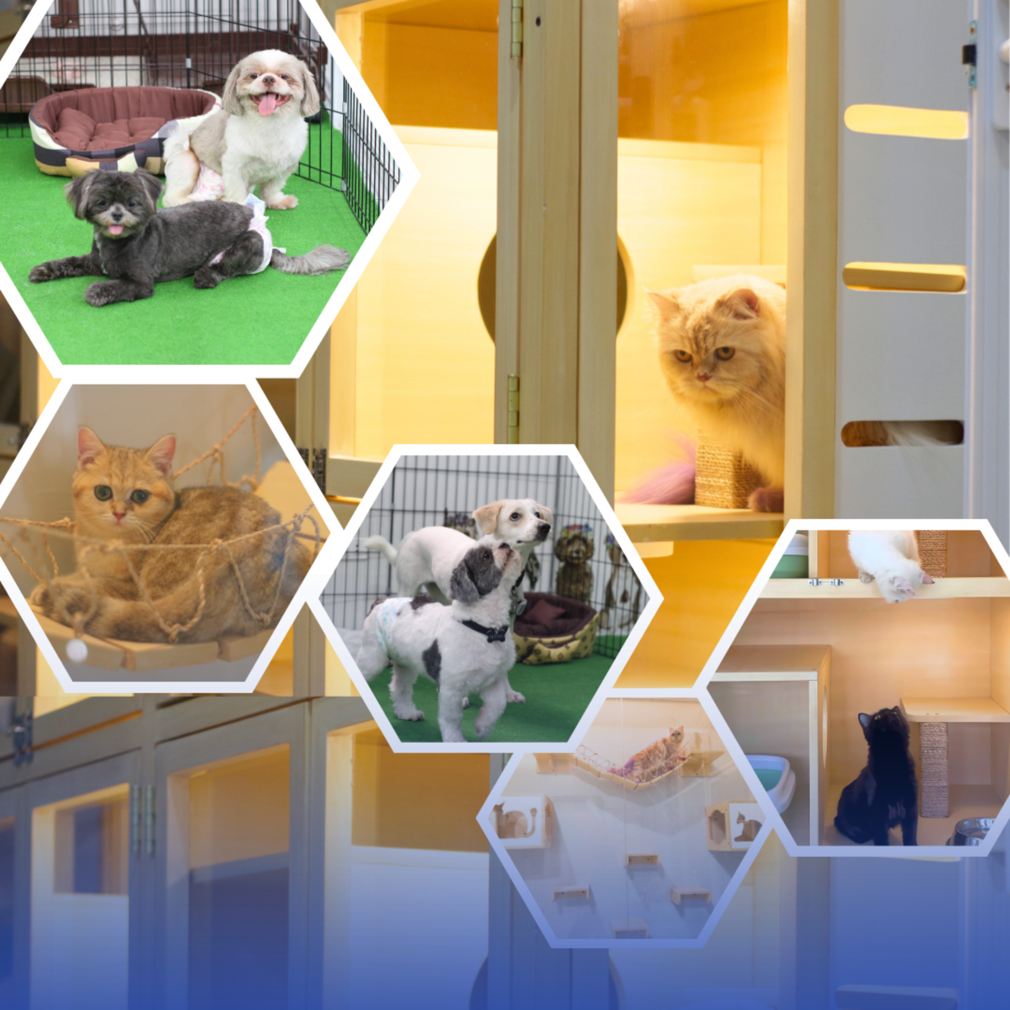 Pet Cages, Crates & Grooming