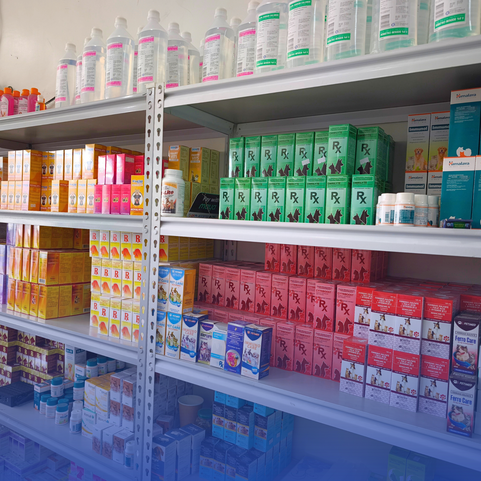 Cat Litter Supplies